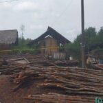 Hinca Pandjaitan Bukan “Kaleng-kaleng” Laee..!! Perambahan Hutan Mangrove Langkat Disoroti, Pelakunya Ditangkap Polisi..!!