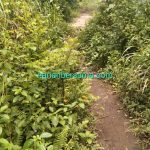 Alamakk…Udah tak Tepat Sasaran, Terbengkalai Pula..!! Bantuan Kemendes Rp 300 Juta di Desa Penen Deli Serdang Terduga Sarat Korupsi..!!