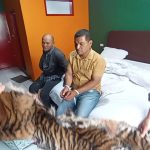 Kacian Deh Luu..!! Jual Kulit Harimau ke Polisi, Dua Orang Anak Padang Sidimpuan “Tidur” di Polda Sumut..!!