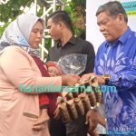 Peringatan Hari Kesehatan Nasional..!! Plt Bupati Deli Serdang Minta Dinkes Tingkatkan Pelayanan Kesehatan kepada Masyarakat..!!