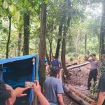 Gas Terus Pak Poll…Ratakann..!! Polda Sumut “Obrak Abrik” Gubuk Sabu Sepanjang Jalan Medan-Berastagi..!!