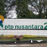 Ayo Bung…Rebut Kembali..!! PTPN II dan Tim Gabungan akan Turun ke Lokasi Tambang Ilegal di Deli Serdang..!!