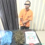 Gas Terus Pak Poll…Jangan Kasi Kendorr..!! Bawa Ganja, Anak Bandar Baru “Lengket” di Polres Karo..!!