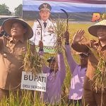 Tragiss..!! Bupati Deli Serdang dan Pj Gubsu Panen Raya Padi di Tengah Gempuran “Hutan” Ruko..!!