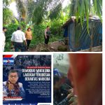 Duhh..!! Narkoba di Pancur Batu dan Sibolangit “Merajalela”, BNN “Bengong” Saja..!! Hinca: BNN Sangar atau Bubar..!!
