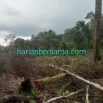 Masuk Kawasan Hutan..!! Warga Desak Pj Gubsu dan Pj Bupati Deli Serdang Kosongkan Lahan Eks PT IRA 154 Ha..!!