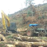Polisi dan Dinas Kehutanan Entah di Mana..!! Hutan Produksi di Sukamaju Karo “Porak-poranda Dibabat” CV MJA Tanpa Izin..!!