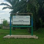 Gawatt..!! Manajer dan Askep Sudah Lama Tahu tapi Penjarahan TBS PTPN IV Batang Serangan Tetap Merajalela..!!