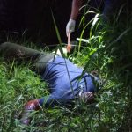 Selamat Jalan Wakk..!! Warga Cempa Langkat Geger, Wak Ubay Ditemukan Tewas di Bawah Pohon Kelapa..!!