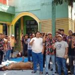 Bukan “Kaleng-kaleng” Ni Boss..!! Mada LMP Sumut Serahkan 5 Ekor Sapi Kurban di Idul Adha 1446 Hijriah..!!