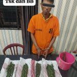Keluarga Siapa Inii..?? Bawa Ganja, Anak Tigapanah Karo Tidur Gratis di Penjara..!!