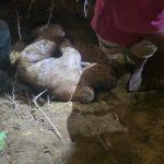 Hiii..!! Perangin-angin Ditemukan Jadi Mayat, Dikubur Hanya Pakai Celana Dalam..!!