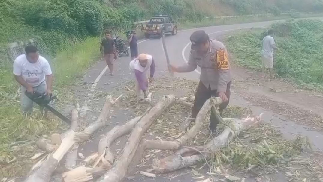 Ngerii..!! Hujan Deras dan Angin Kencang Terjang Sukajulu Karo, Pohon Besar Bertumbangan..!!