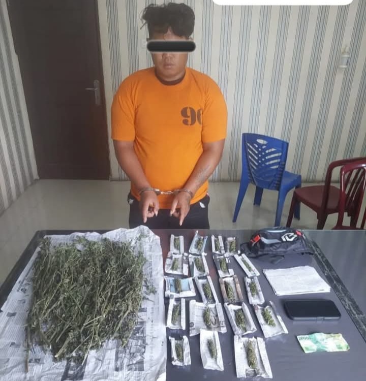 Keluarga Siapa Inii..?? Anak Nangbelawan Jualan Ganja di Simpang Empat Diciduk Polres Karo..!!
