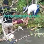 Selamat Jalan Beru Barus..!! Terduga Sakit Jantung Kambuh, Anak Penen Tewas Telungkup di Sawah..!!