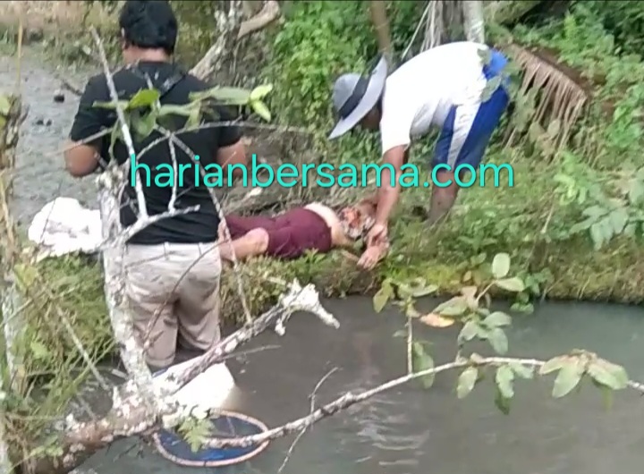 Selamat Jalan Beru Barus..!! Terduga Sakit Jantung Kambuh, Anak Penen Tewas Telungkup di Sawah..!!
