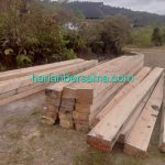 Siap-siap Kelen Yaa..!! Tanah Karo Terancam Banjir dan Longsor: Penebangan Kayu di Siosar Semakin Menjadi, Pemkab-Polisi Kompak “Buta” dan “Tuli”..!!