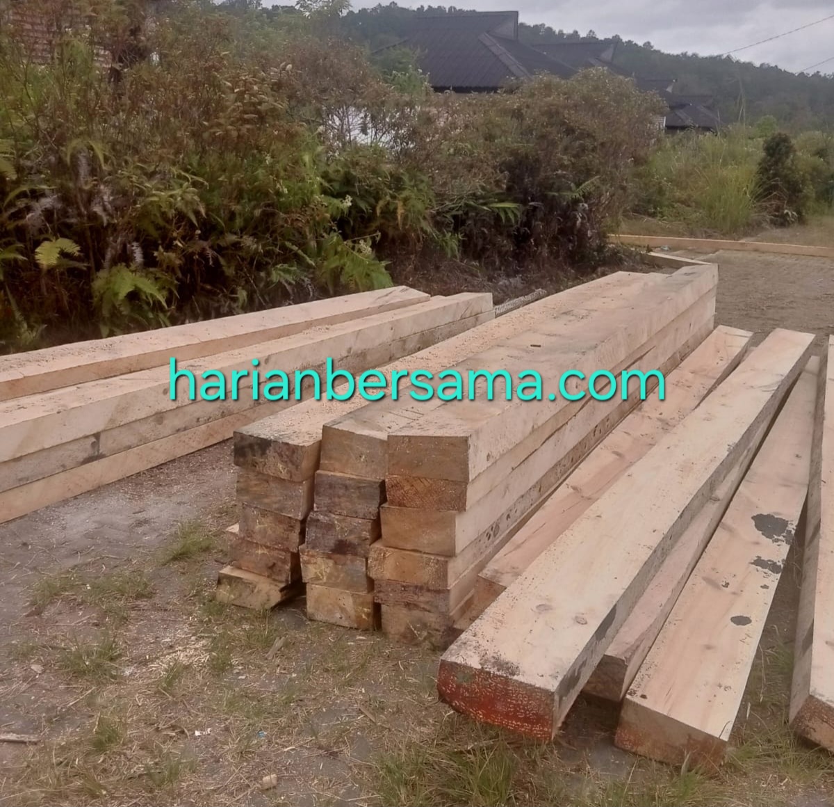 Siap-siap Kelen Yaa..!! Tanah Karo Terancam Banjir dan Longsor: Penebangan Kayu di Siosar Semakin Menjadi, Pemkab-Polisi Kompak “Buta” dan “Tuli”..!!