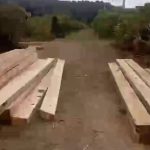 Gawatt..!! Penebangan Kayu “Menggila” di Karo, Pengungsi Sinabung Ketakutan Dihantam Banjir dan Longsor..!!