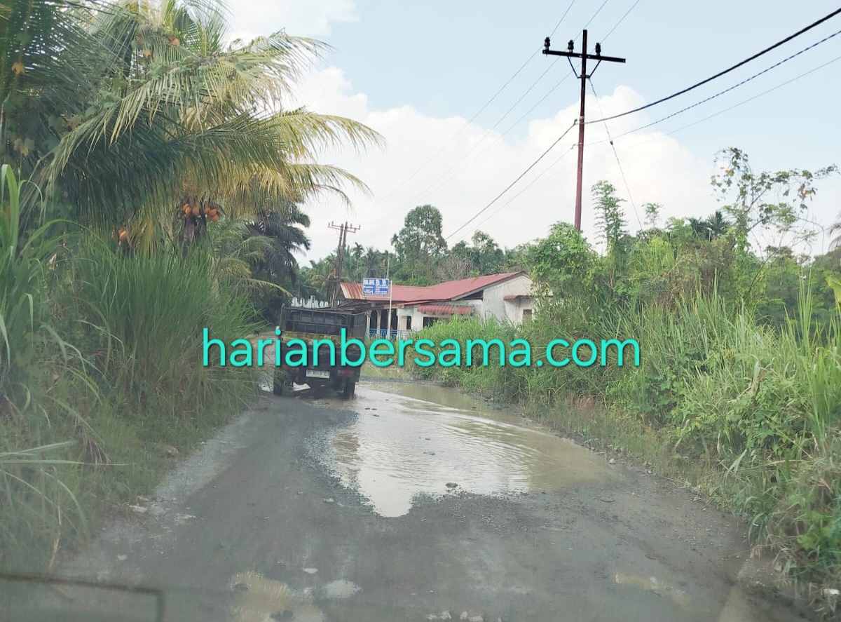 Gawat Kali Bahh..!! Selama Bupati Asri Ludin Tambunan Jalan Sibirubiru-Penen Bagai Kubangan Kerbau..!!
