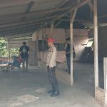 Hayoo…Kok Bisa Yaa..?? Ketua Karang Taruna Sibiru-biru Disebut Kelola Judi, Pas Digerebek Rupanya Hanya “Ilusi”..!!