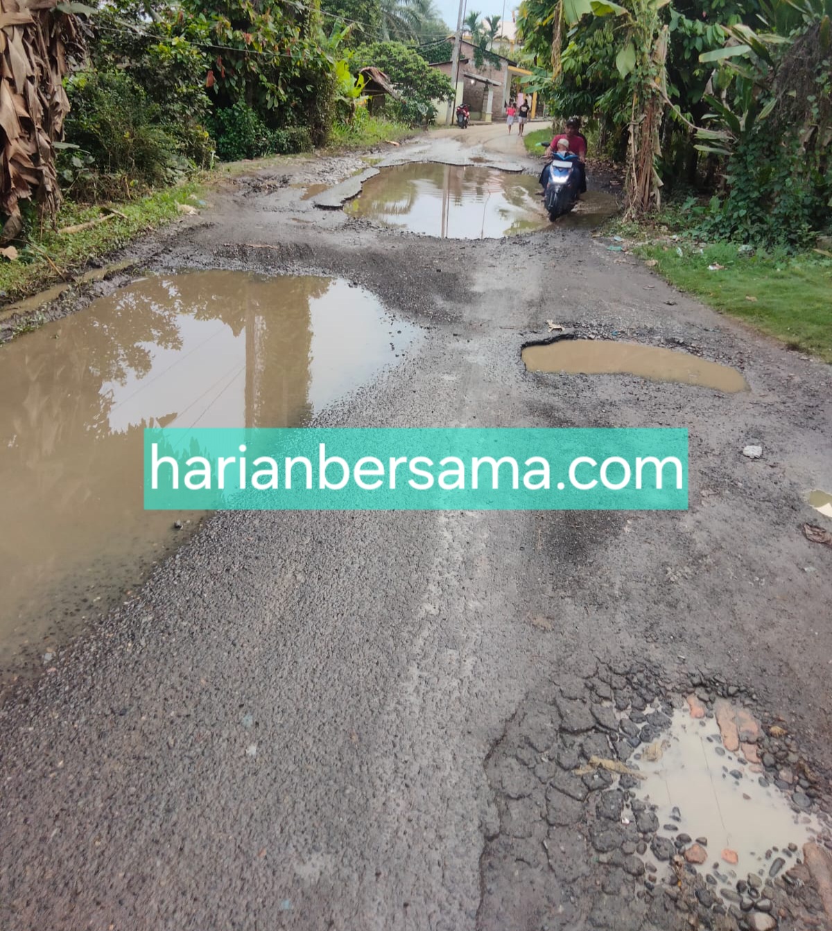 Gawat Kali Bahh..!! Bupati Deli Serdang tidak Perduli Jalan Rusak..!!