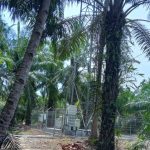RDP tidak Dihadiri..!! Ketua Komisi III DPRD Langkat “Marah”, PT Gamitraco Tunggal Dirikan Tower di Hutan Tanpa Izin akan Dikasuskan..!!