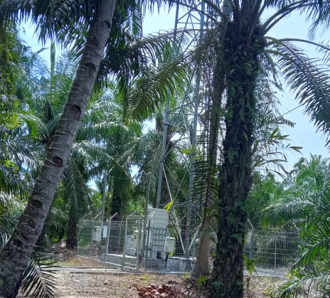 Kok Bisa Yaa..?? Tower Telkomsel Berdiri Tanpa Izin di Hutan Produksi, Pemkab Langkat Diam Saja..!!