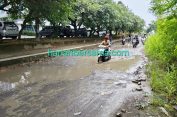 Ini Dinasti Bung..!! Terduga tidak Bayar PBB, Jalan Rusak Desa Medan Estate Dibiarkan Saja..!!