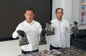 Mantul Abis Brayy..!! Ditnarkoba Polda Sumut Tangkap 2000 Bungkus Vape Getar Narkoba Asal Malaysia..!! Siapa Dulu Direktur Narkobanya..!!