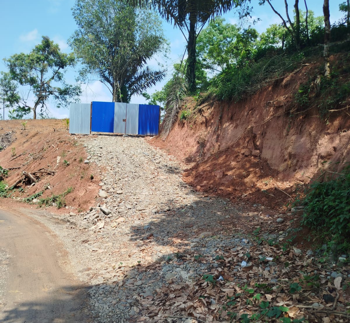 Gawatt..!! Pemkab Deli Serdang tak Peduli Hutan Digunduli, Jalan Sibirubiru-Penen Terancam Putus..!!