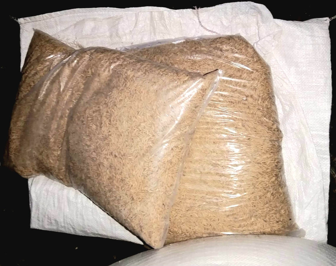 Dugaan Korupsi..!! Beli Bibit Padi Tanpa Merek, Kades Penen Malah Jual Benih Bantuan ke Luar Desa, Inspektorat Deli Serdang Terduga Melindungi..!!
